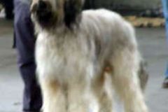 A`Balou