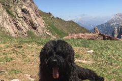 ein Päuschen muß sein