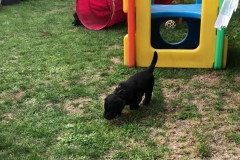 Mit Tante Talulah auf dem Spielplatz II