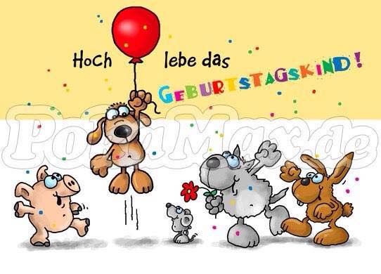 7 Geburtstag Briards Vom Wandersmann