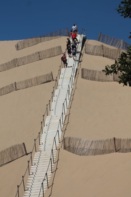 Dune Pilla