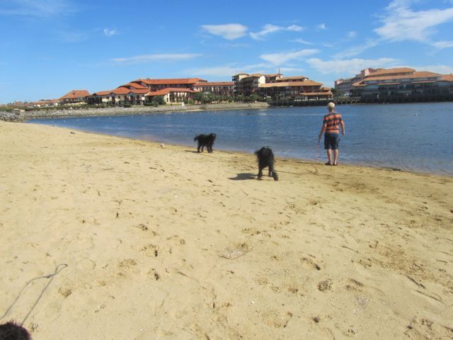 am See